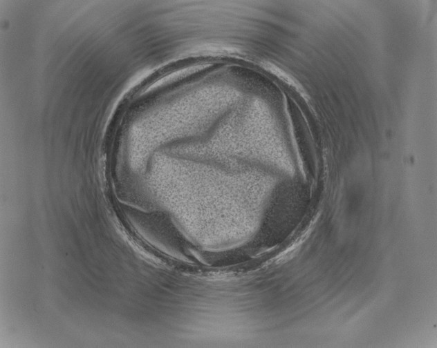 X0000074011029200609111618