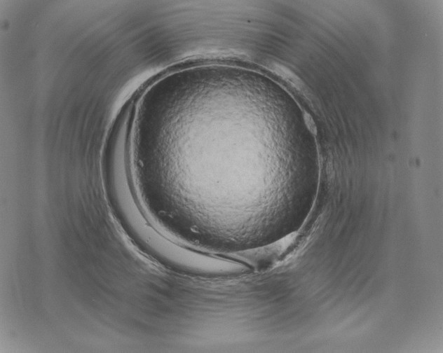 X0000074011030200609111618