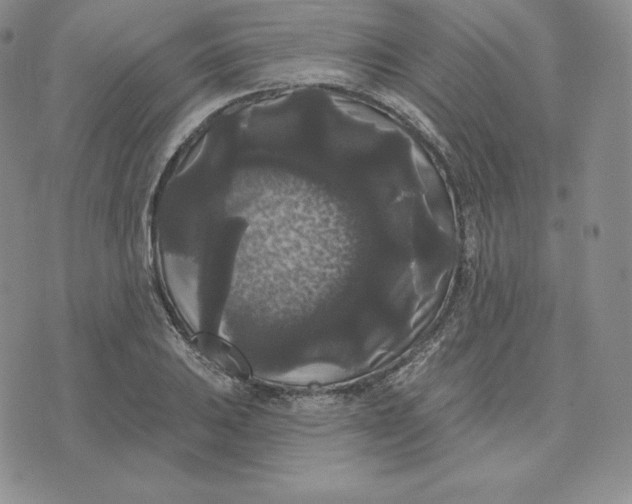 X0000074011031200609111618