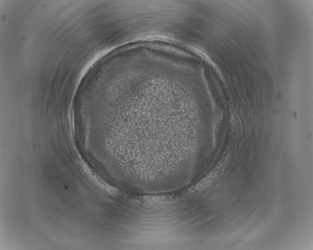 X0000074011032200609111618