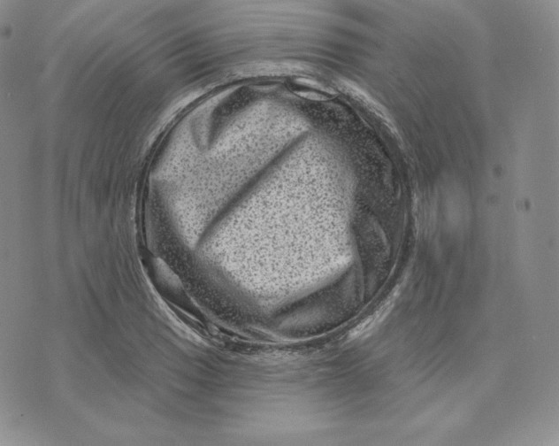 X0000074011033200609111618