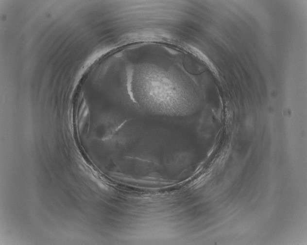 X0000074011035200609111618