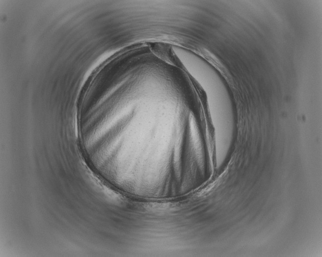 X0000074011036200609111618