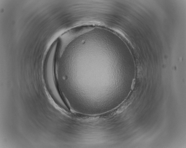 X0000074011038200609111618