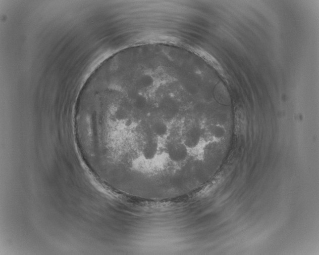 X0000074011039200609111618