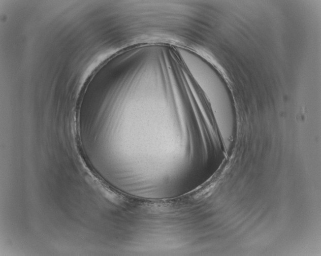 X0000074011040200609111618