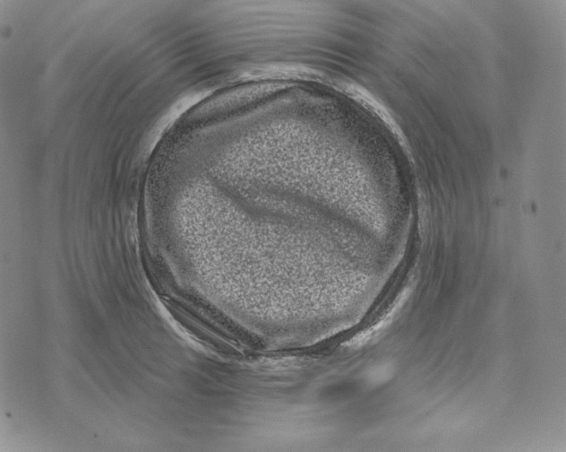 X0000074011041200609111618