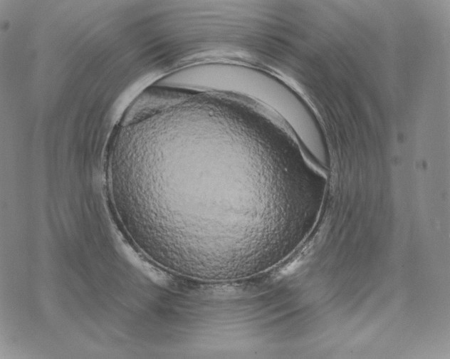 X0000074011042200609111618