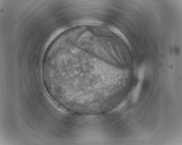 X0000074011043200609111618