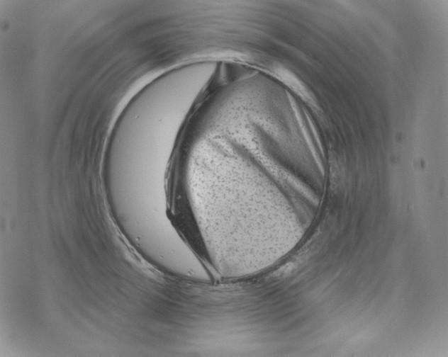 X0000074011044200609111618