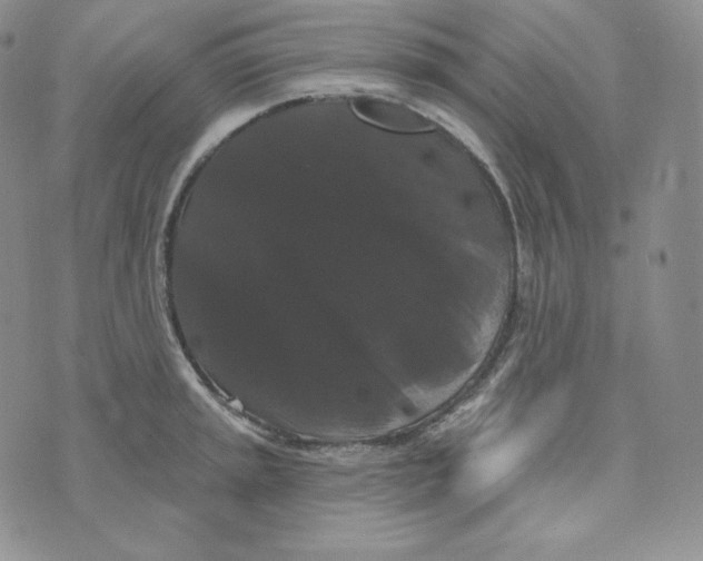 X0000074011045200609111619