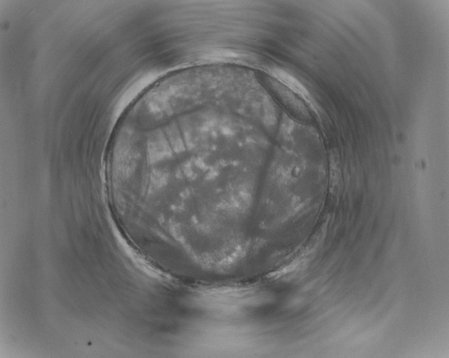 X0000074011047200609111619