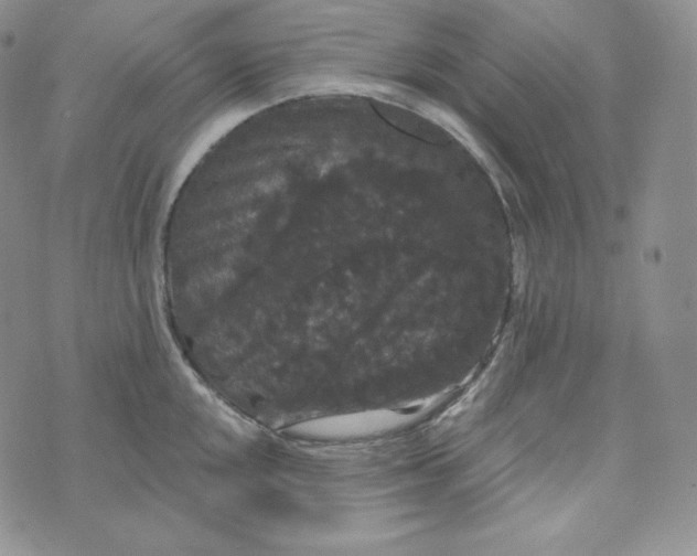 X0000074011048200609111619