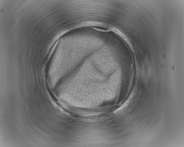 X0000074011049200609111619