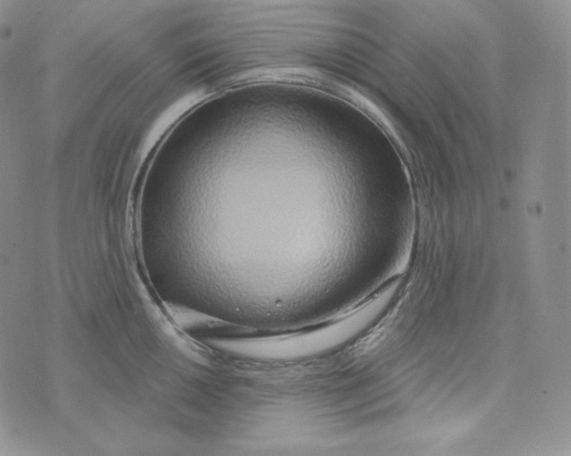 X0000074011050200609111619