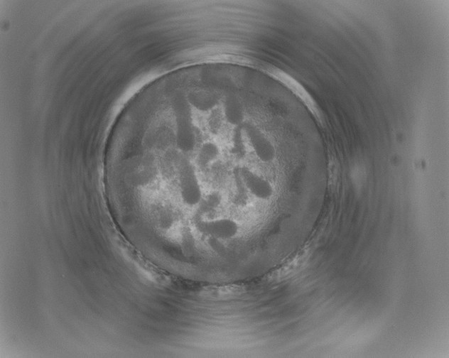 X0000074011051200609111619