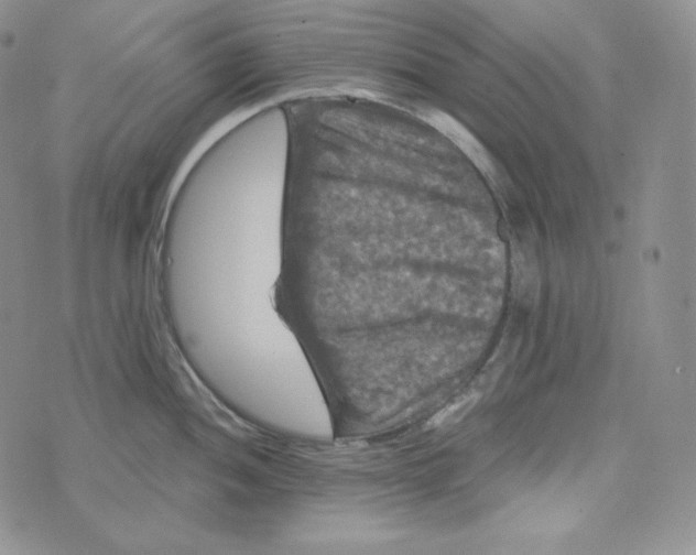 X0000074011052200609111619