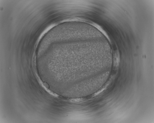 X0000074011053200609111619