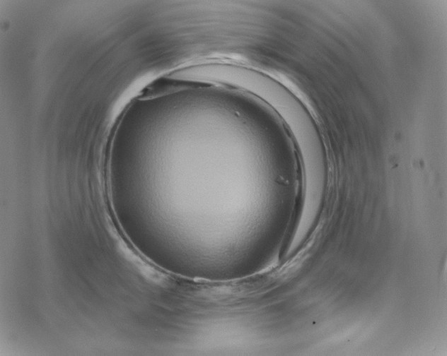 X0000074011054200609111619