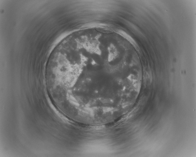 X0000074011055200609111619