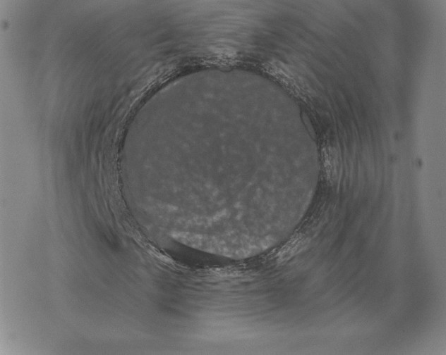 X0000074011057200609111618