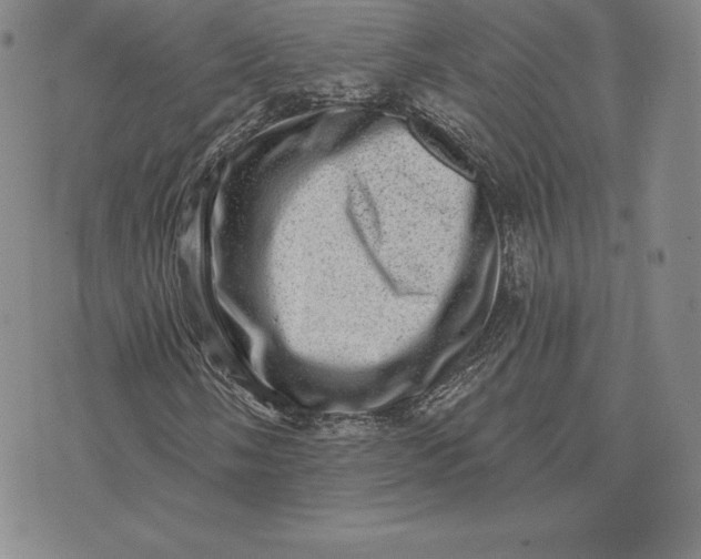 X0000074011058200609111618