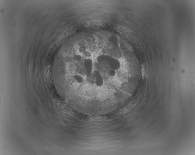 X0000074011059200609111618