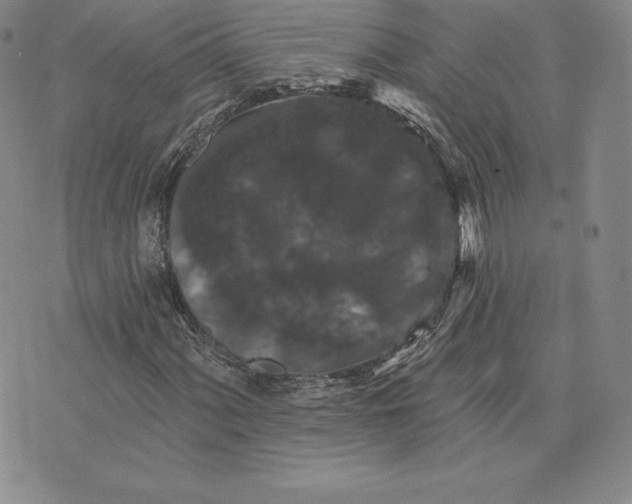 X0000074011060200609111618