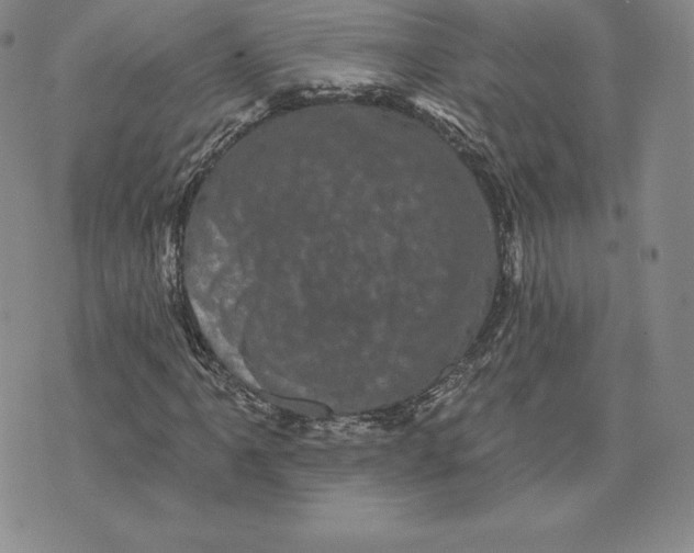 X0000074011061200609111618