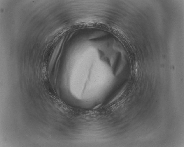 X0000074011062200609111618