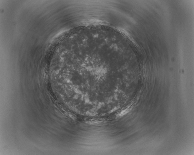 X0000074011063200609111618