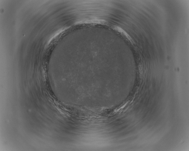 X0000074011064200609111618