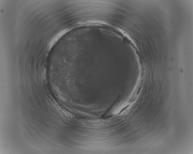 X0000074011066200609111618