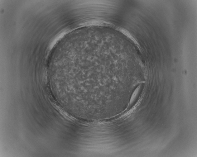 X0000074011067200609111618