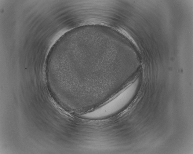 X0000074011068200609111618