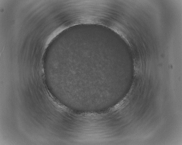 X0000074011070200609111618