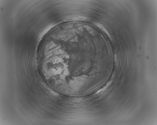 X0000074011071200609111618