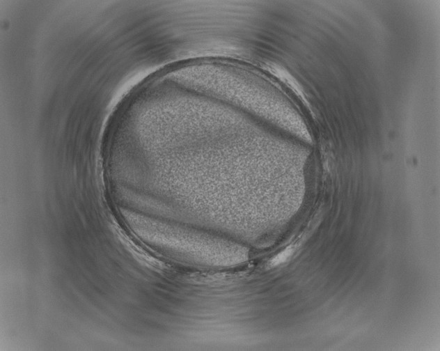 X0000074011072200609111618