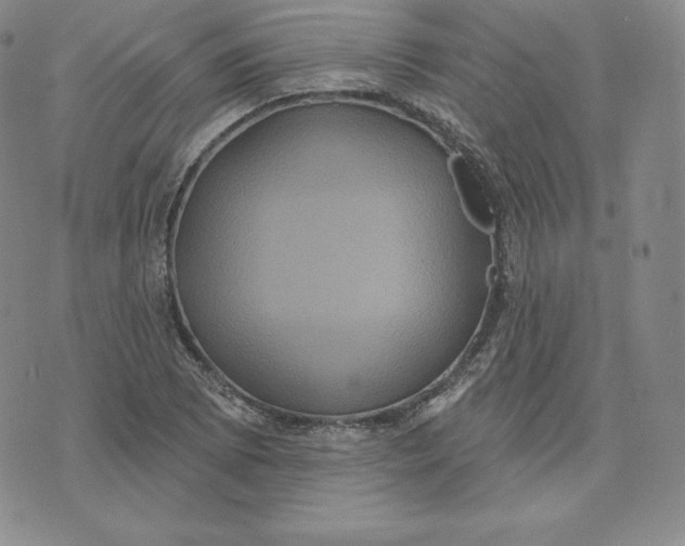 X0000074011073200609111618