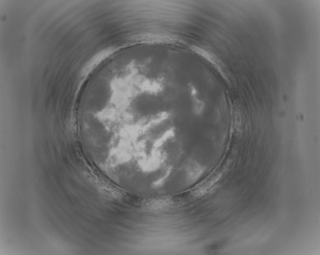 X0000074011074200609111618