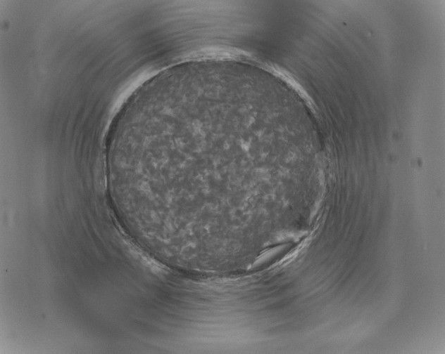 X0000074011075200609111618