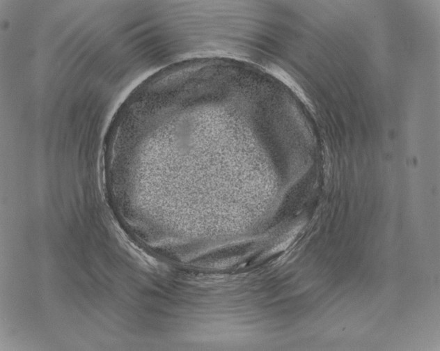 X0000074011076200609111618