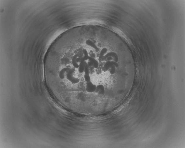 X0000074011079200609111618