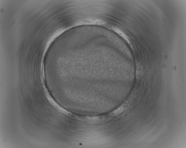 X0000074011080200609111618