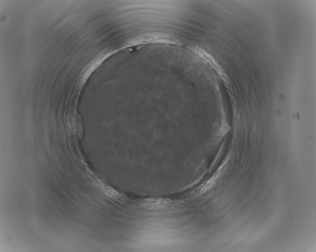 X0000074011081200609111618