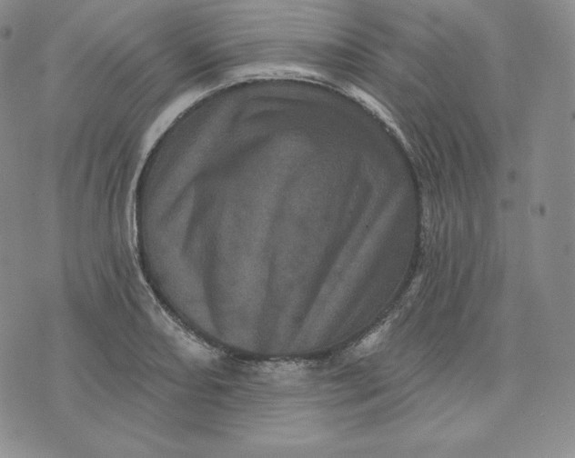 X0000074011082200609111618