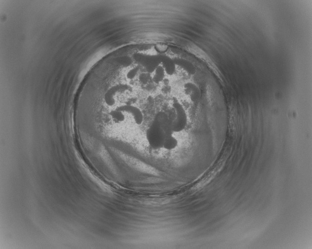 X0000074011083200609111617