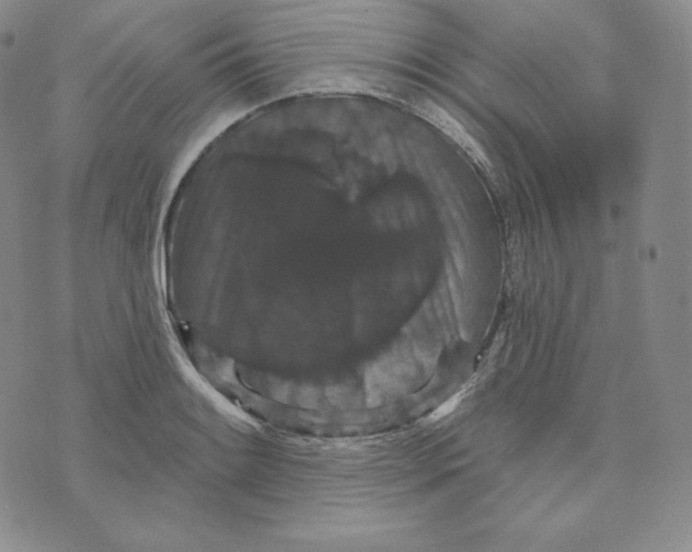 X0000074011084200609111617