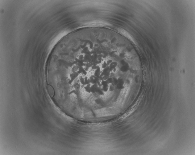 X0000074011087200609111617