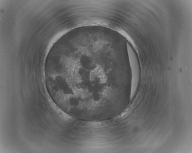 X0000074011088200609111617